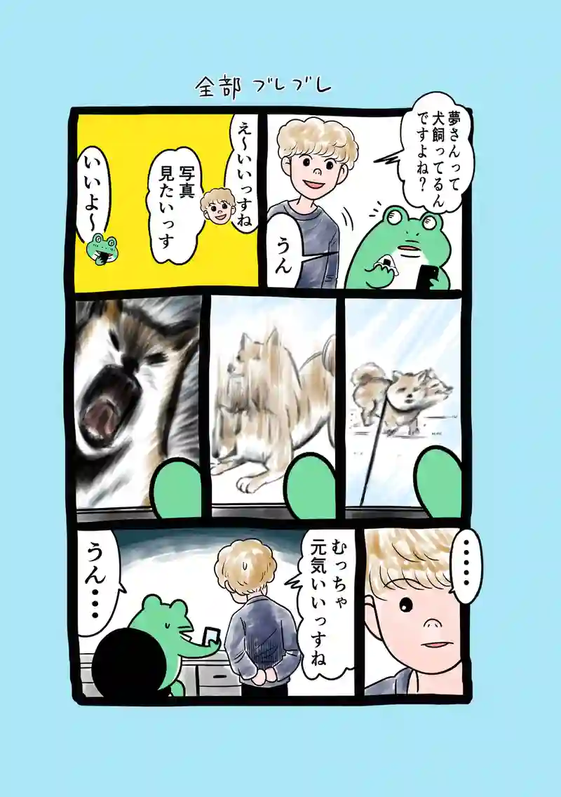 急に来てすぐカエル(256)