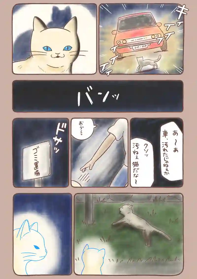 すきま猫とくまちゃん《5》
