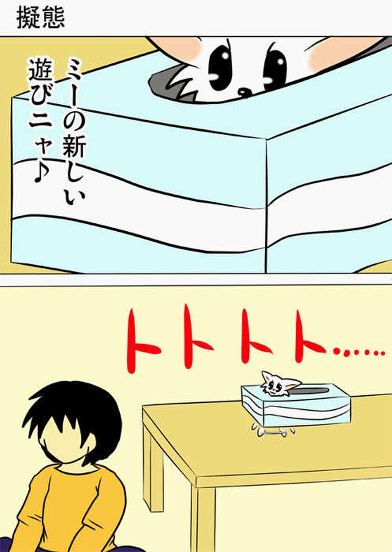ミーのおもちゃ箱１６１話