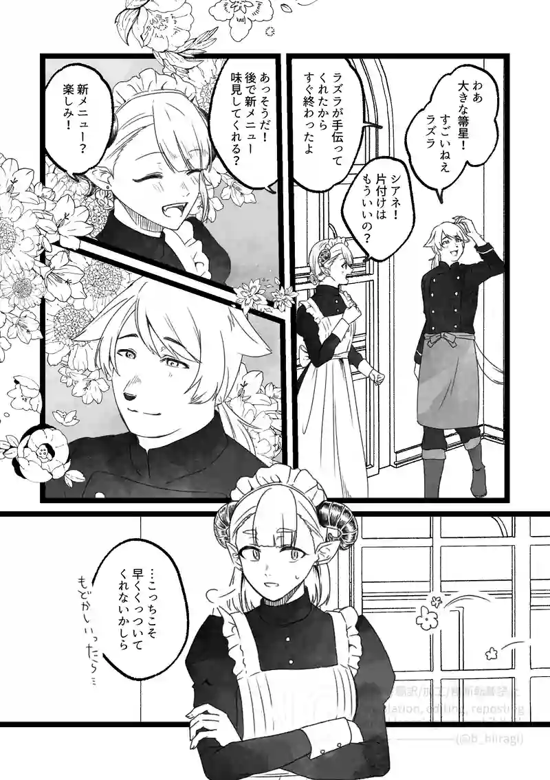 14 流星群の夜に