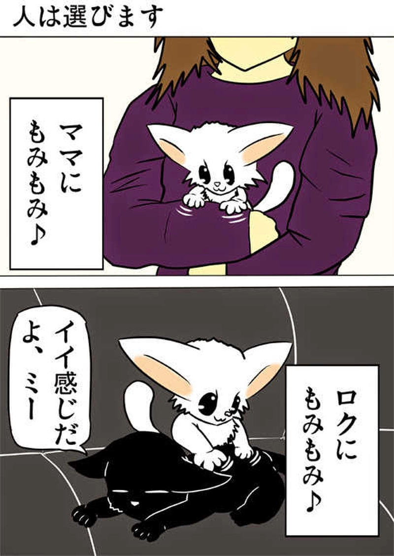 ミーのおもちゃ箱１５９話