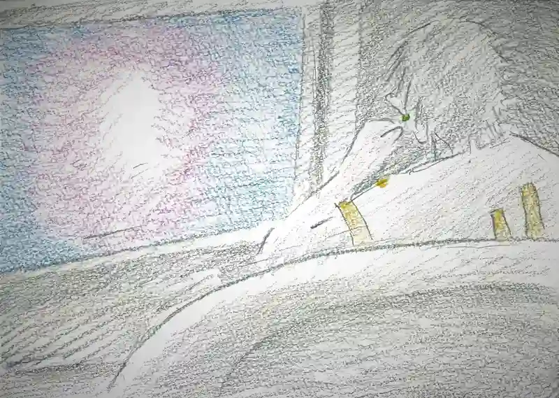 降り姫20