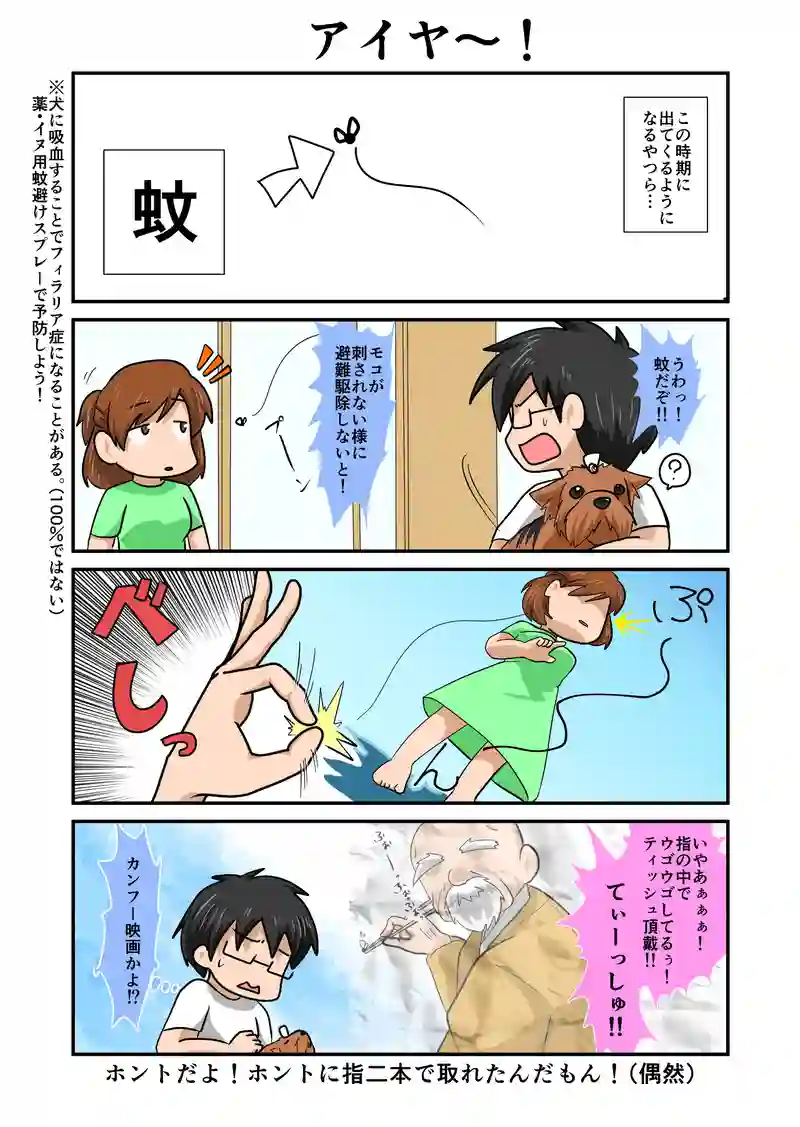 アイヤ～！