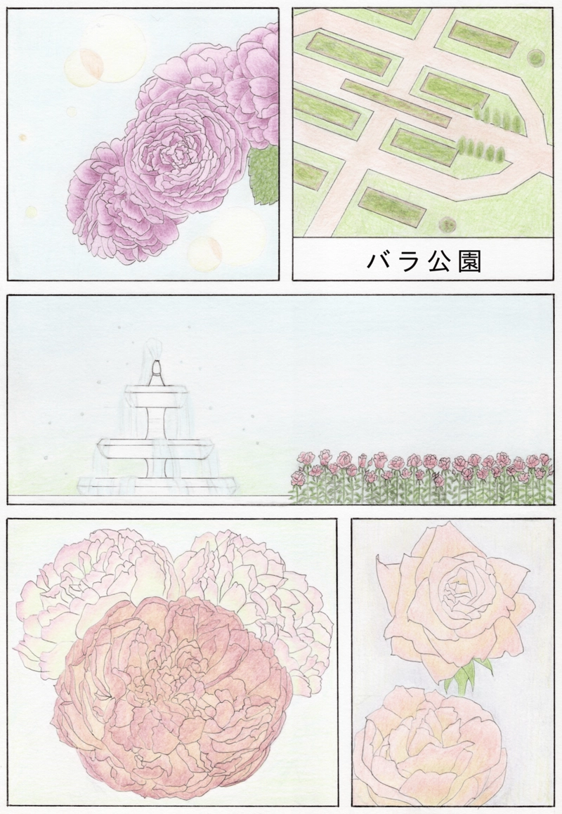 【漫画】バラ公園の思い出