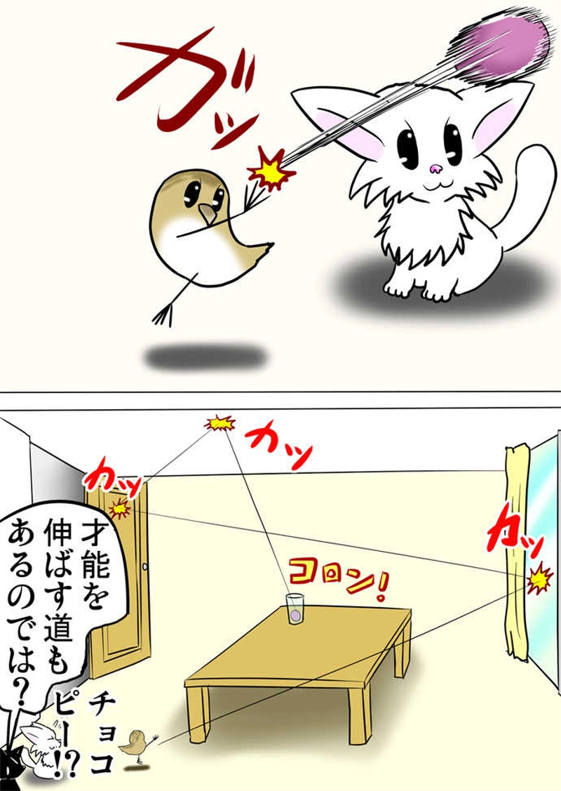 ミーのおもちゃ箱２５３話