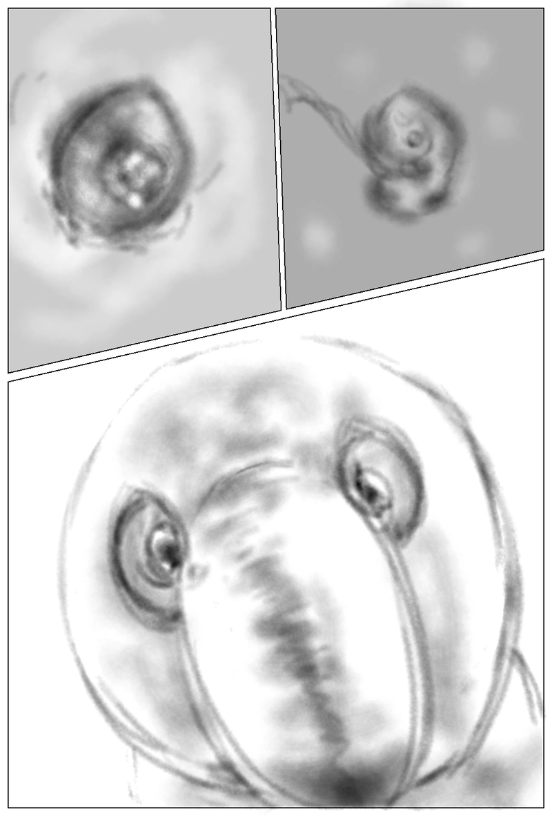 カスペアー精神