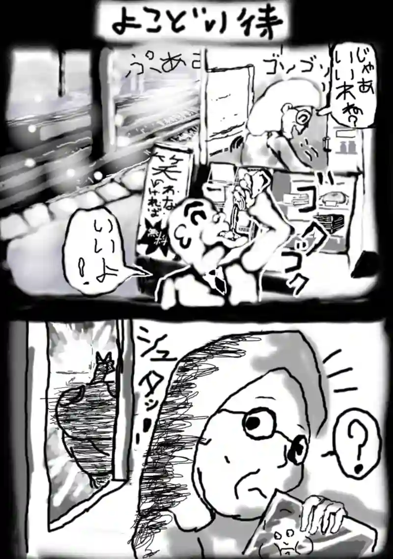 横取り侍