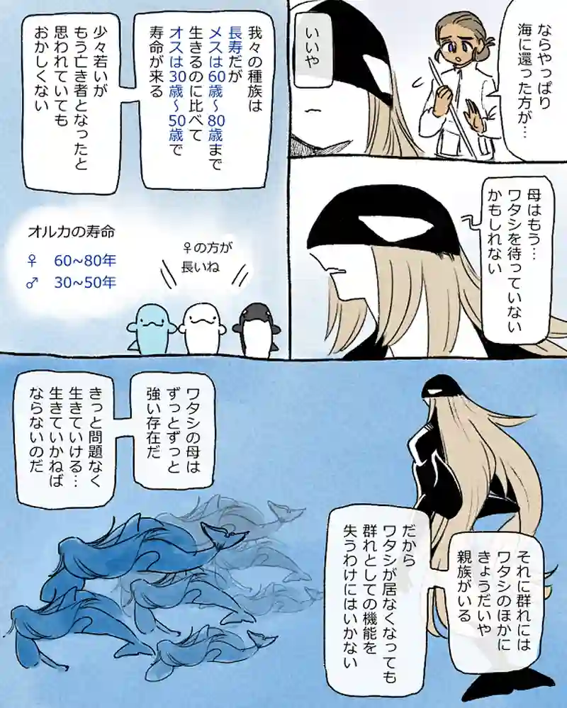 モルトバール９