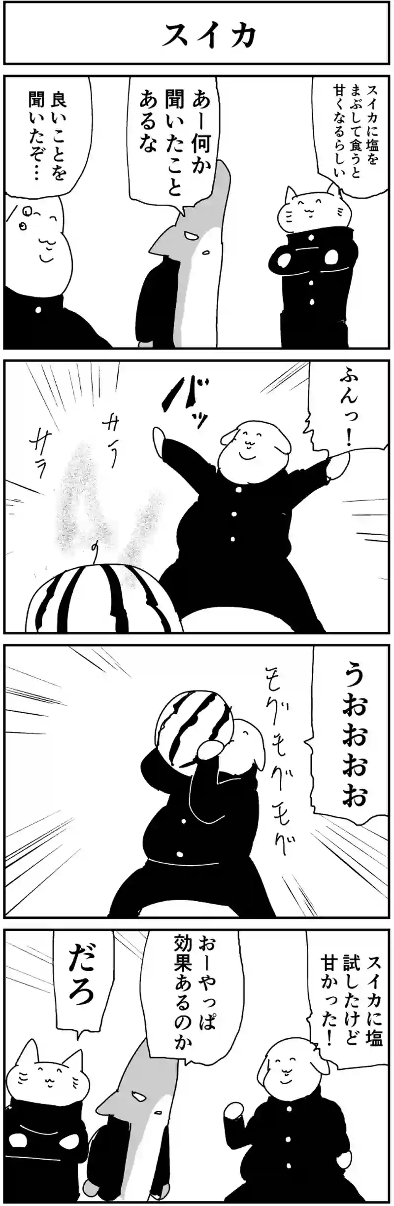 スイカ