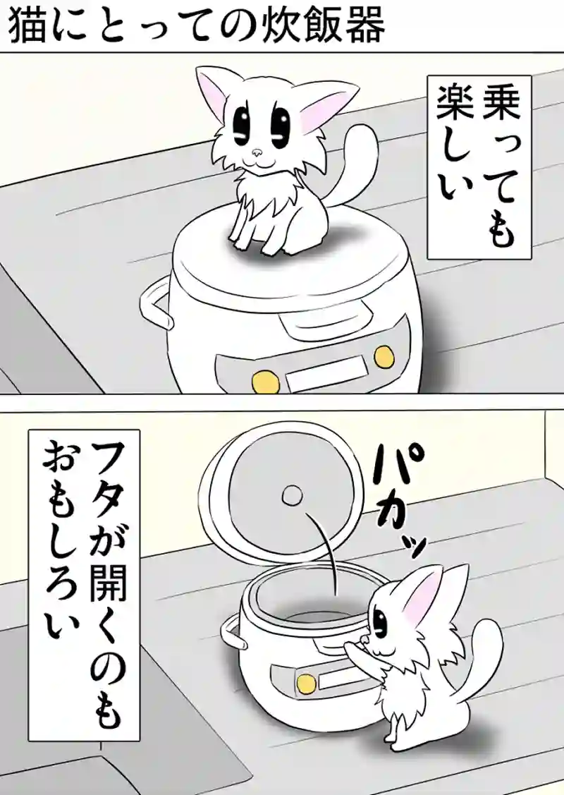 ミーのおもちゃ箱 第1191話～第1196話