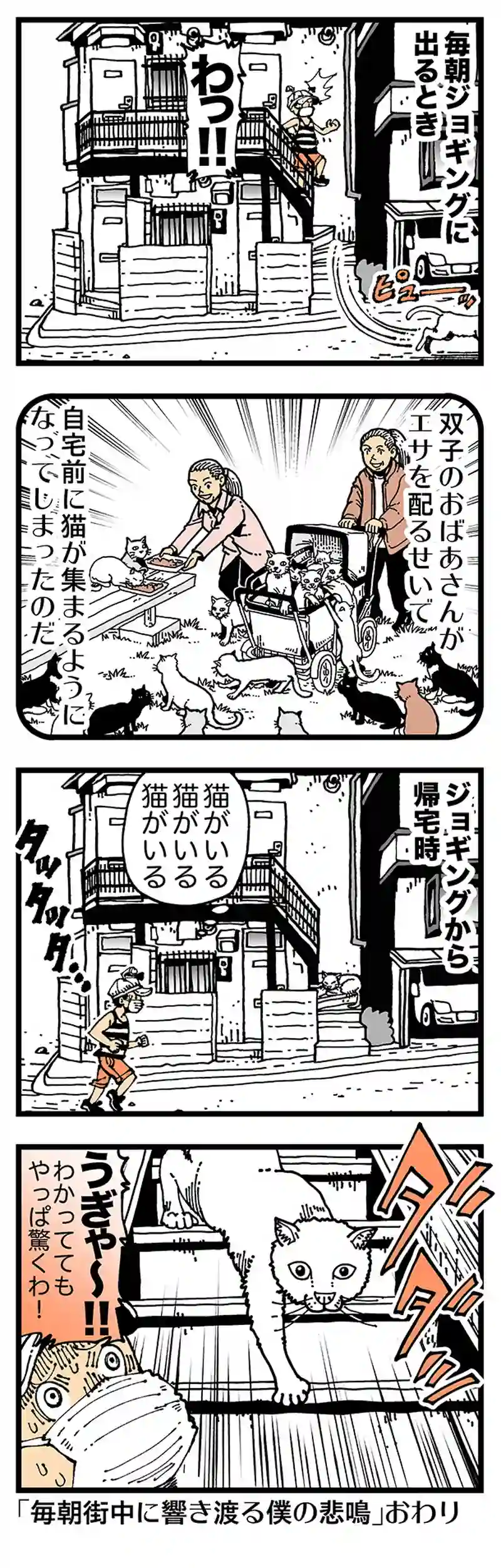 【普通】猫に殺される