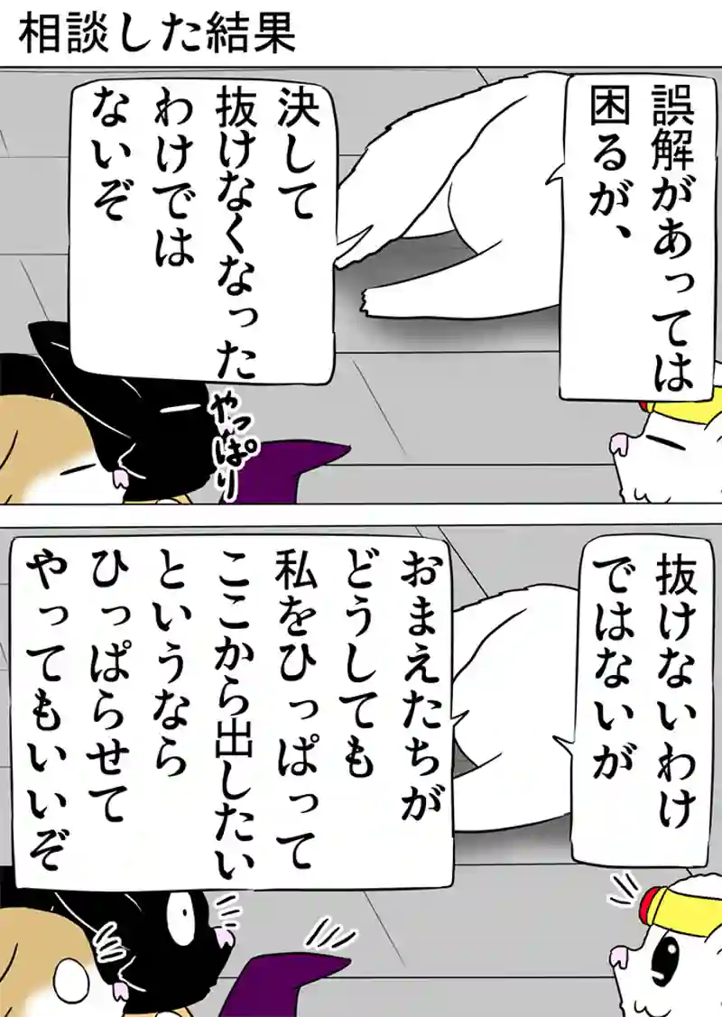 ミーのおもちゃ箱 第1077話～第1082話