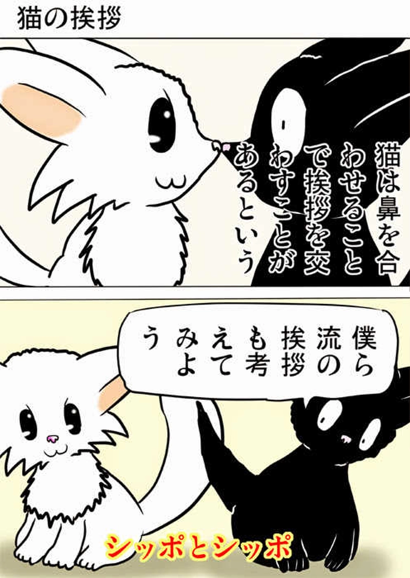 ミーのおもちゃ箱１６９話