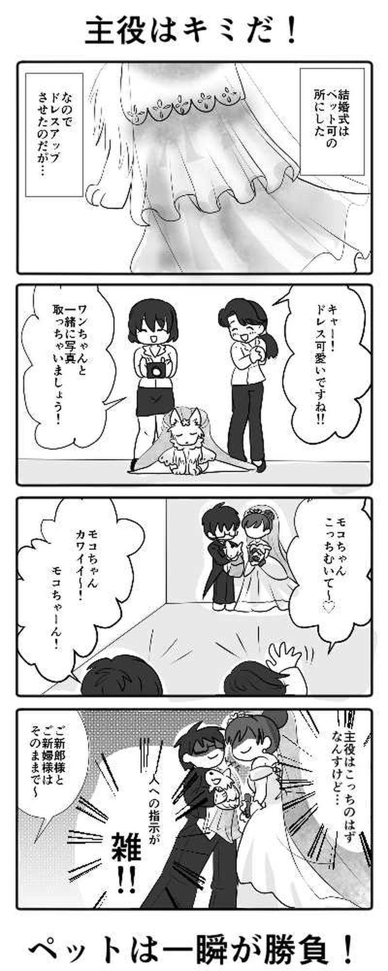 主役はキミだ！