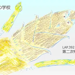 LAP.392 第二次噴射