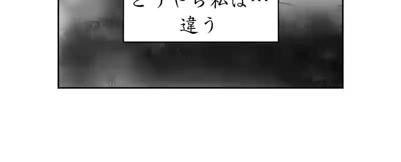 第三話、4300キロに及ぶ文化(1)