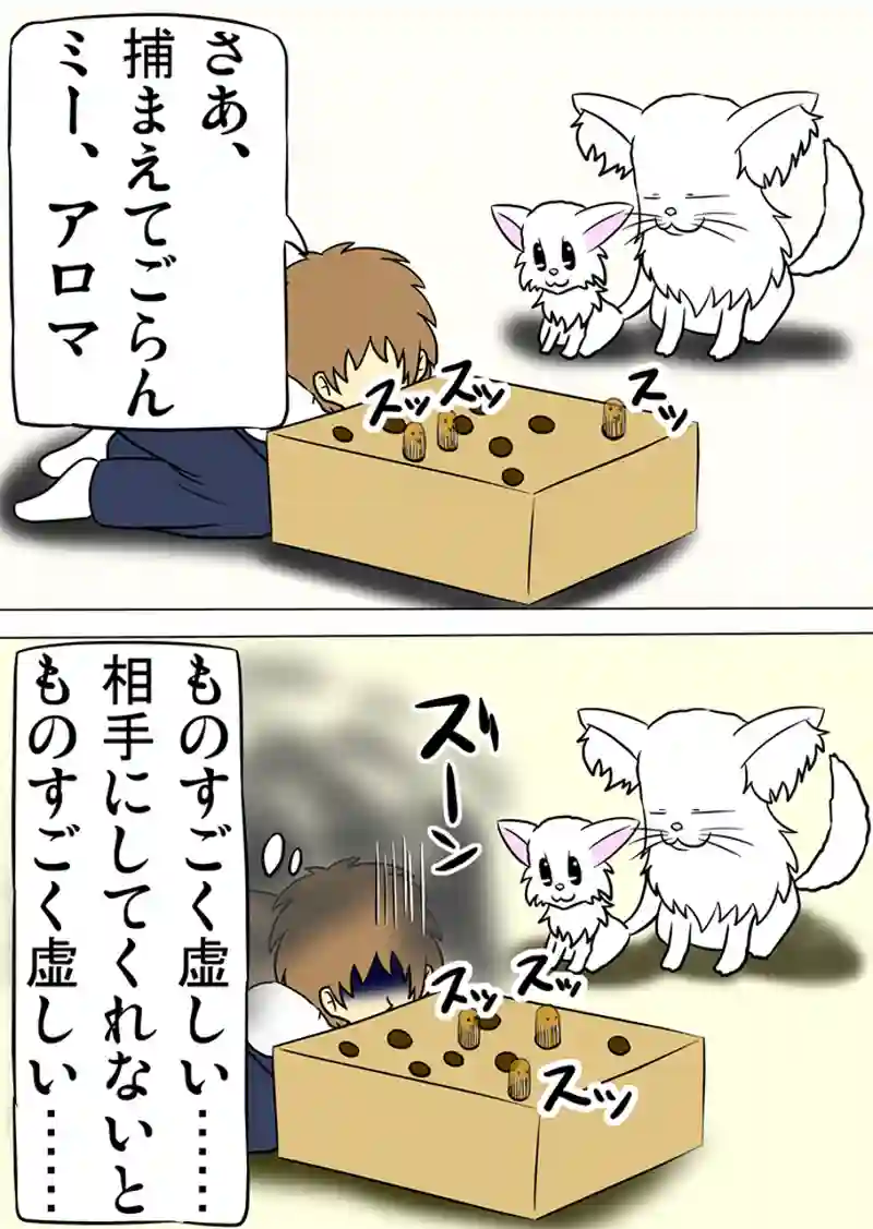 ミーのおもちゃ箱　第951話～第956話