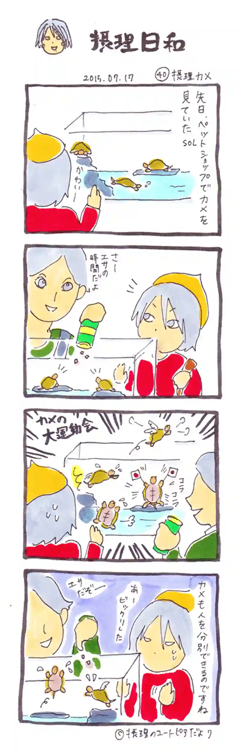 摂理カメ