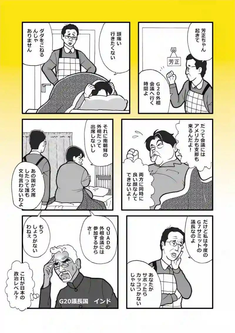 G20外相会議