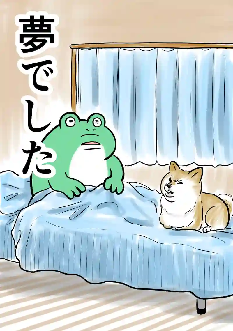 急に来てすぐカエル(311)
