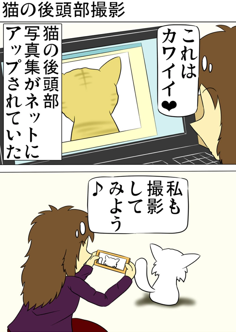 ミーのおもちゃ箱 第1306話～第1311話