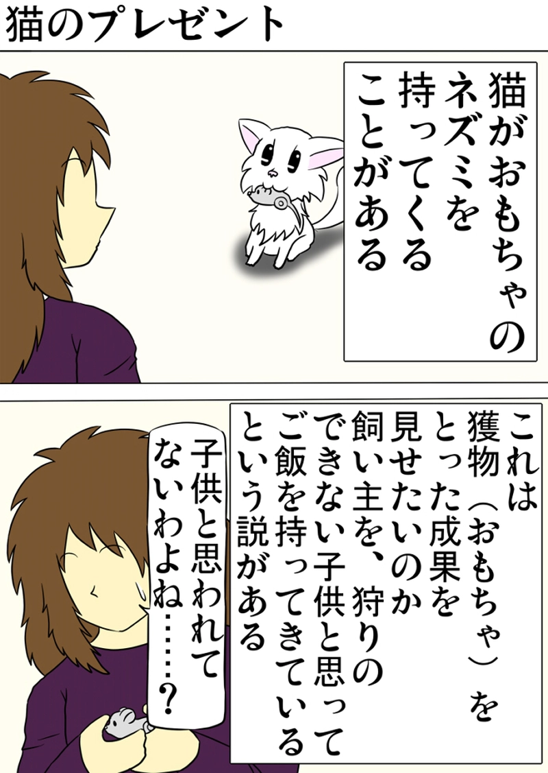 ミーのおもちゃ箱 第1258話～第1263話