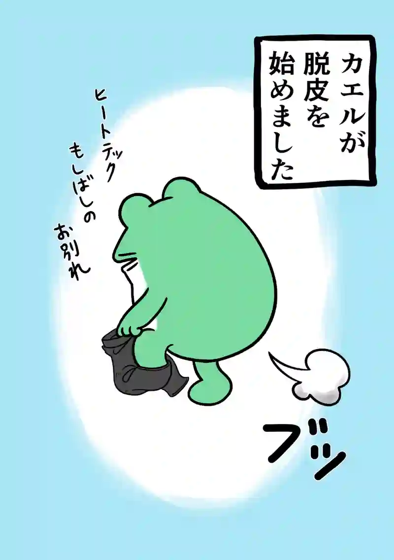 急に来てすぐカエル(169)