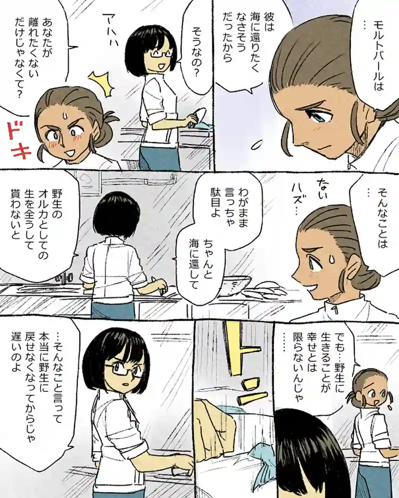 モルトバール８