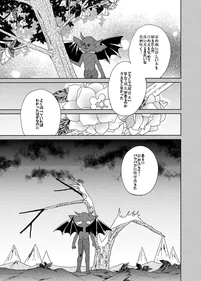 スピンオフ：秘密の花園