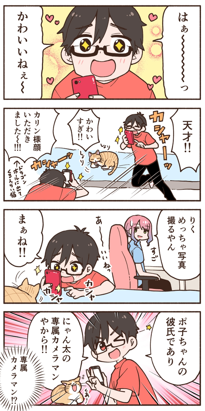 うちの猫の専属カメラマンを自称する者