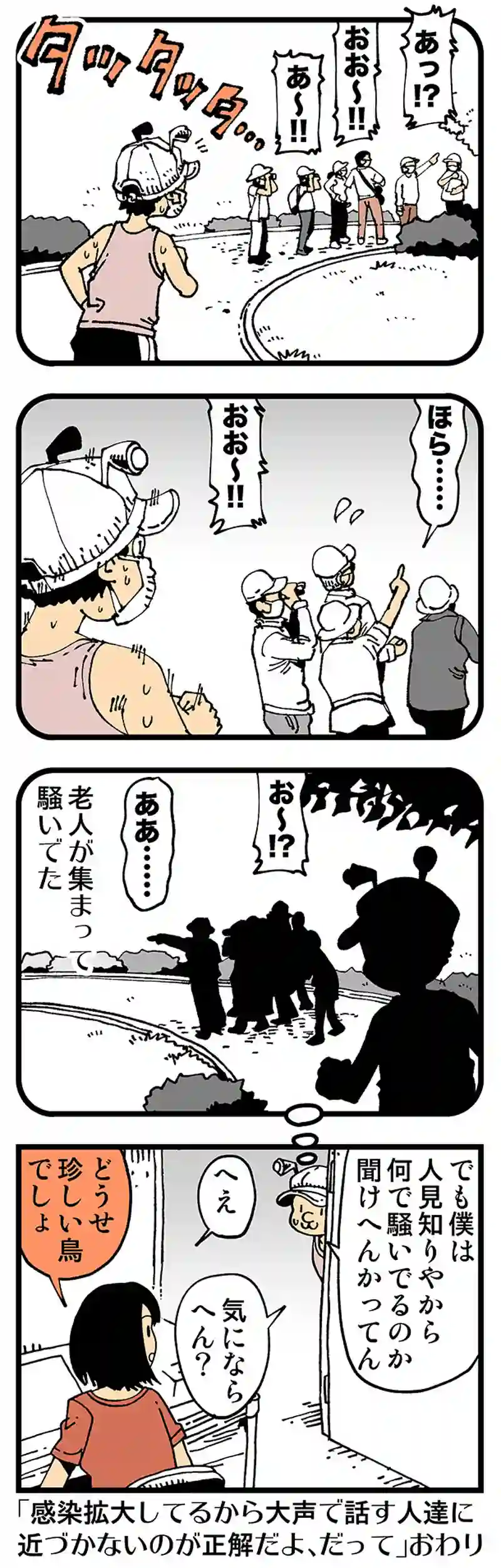 【普通】世紀の発見!?