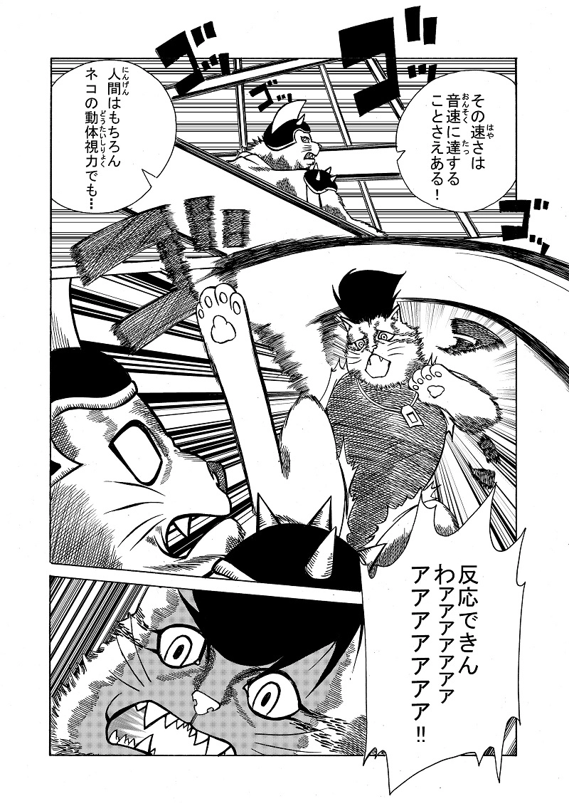 シュレディンガーの猫