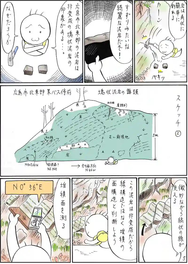 古生層　泥岩