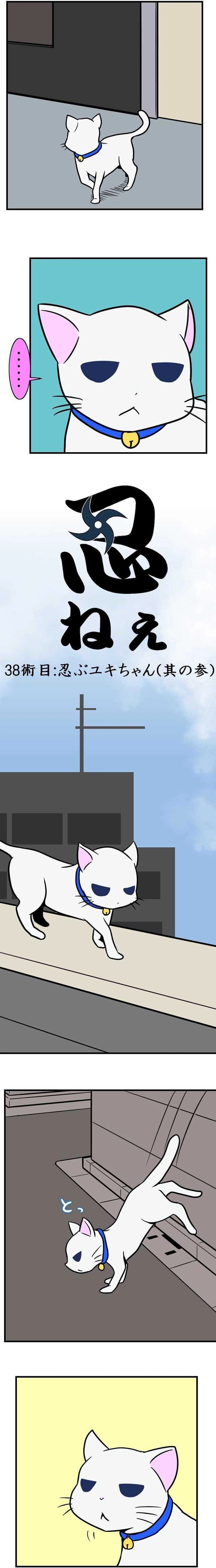 38術目:忍ぶユキちゃん(其の参)