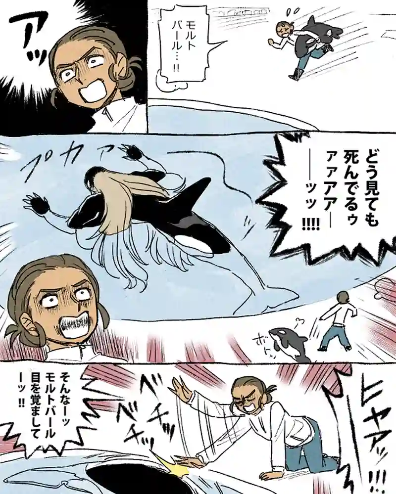 モルトバール８