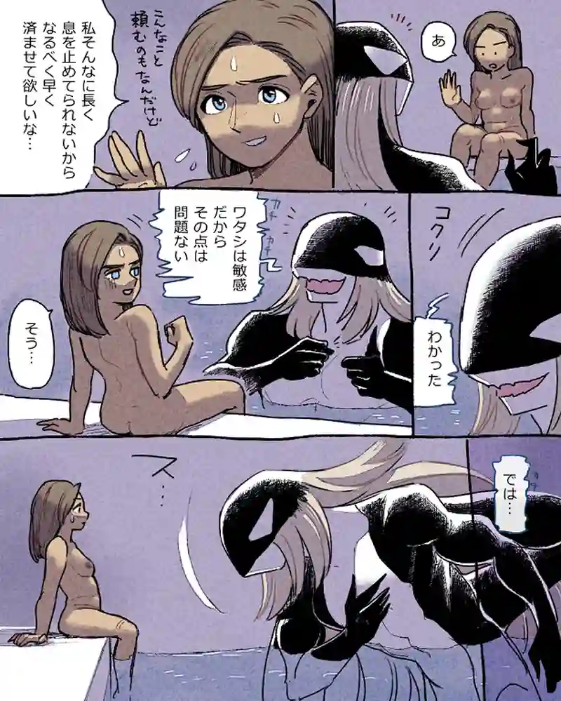 モルトバール１１