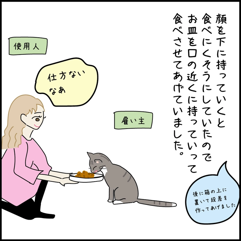 第10話 17才老猫　ニューヨーク闘病日記