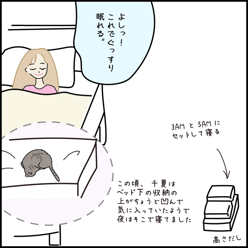 第11話 17才老猫　ニューヨーク闘病日記